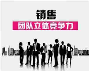 变频电源销售团队需具有的特质有哪些? 变频电源销售团队需具有的特质有哪些?